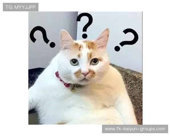 ¦ó+¡-+i¢-§¥Ïi¾+¬Ã=ÂË¦°+¦¦ñã+¥¦i¨-ª